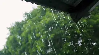 Very relaxing rain sounds | 30 minutes |