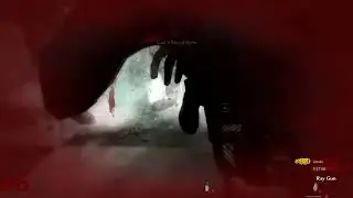 Verrückt Co-Op World Record - Round 51 (World at War)