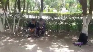 video 1496954821