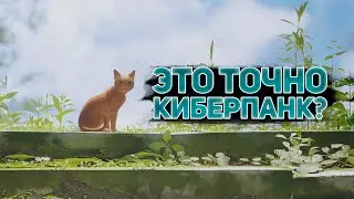 Stray - Постапокалипсис с Котиком [Обзор]