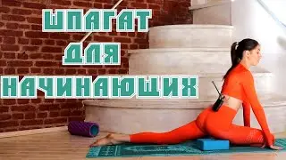 Обучение продольному шпагату с нуля. Растяжка для начинающих. Растяжка с Кутузовой