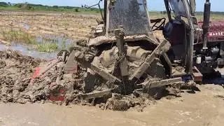 Massey Ferguson 265  285 286 Gold New Holland 65 Çeltik Yeri Hazırlama 