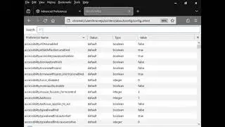 Firefox About Config New and Old UI