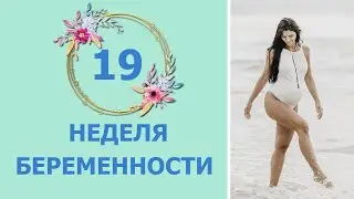 19 Weeks of Pregnancy. Fetal Development and Mom's Sensations