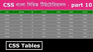 CSS table design | how to design html tables in css- 10