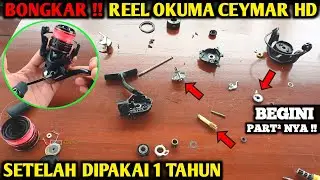 Okuma Ceymar || Reel untuk mancing casting