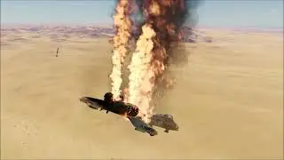 Warthogs paypack