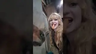Dainty Rascal Dancing with her Horses - The Carrot