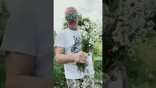 Ждем на крокус экспо выставка 