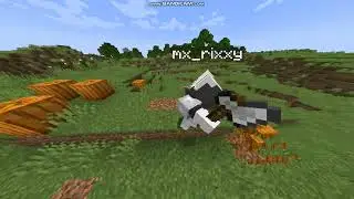 MY NEW MINECRAFT SURVIVAL SERVER