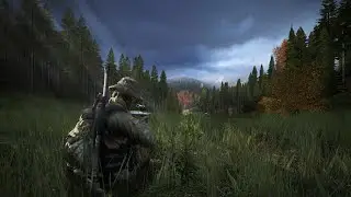 Цель 100 Подписок/DayZ