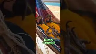 Отпуск #top #rec #шортс #shorts #reels #отпуск #забавноевидео
