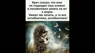 Немножко юмору.