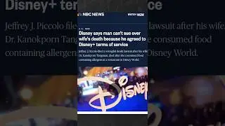 Do Not Trust Disney+