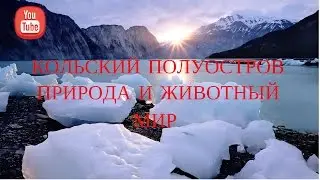 Природа  и животный мир на кольском полуострове ( весна, пробуждение)