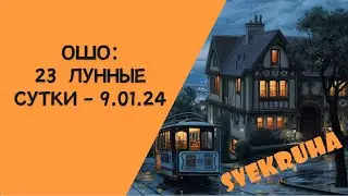 23 лунные сутки / ОШО