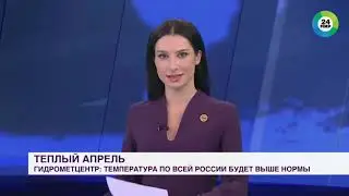 Собака украла микрофон в прямом эфире. Рассказываю про это видео и как раз таки смотрю это видео