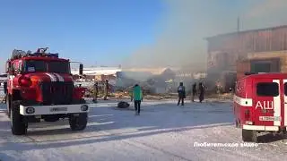 ПРИЧИНА ПОЖАРА НА ЛЕСОПИЛКЕ