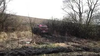 Болото.(3)