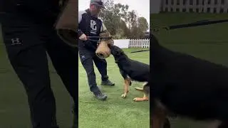 Protection with Aida