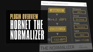 The Normalizer by Hornet / Auto Gain Staging - every daw should have this