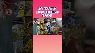 ЕГО ЧУВСТВА ПО ОТНОШЕНИЮ К ВАМ?