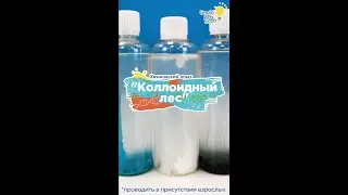 Набор опытов для детей от Genio Kids Science:  Коллоидный лес