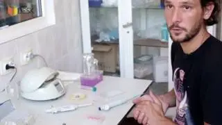 DESK НЕТси   активація формування нейтрофільних екстрацеллюлярних пасток - Денис Пашевін