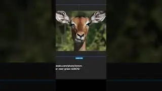 Remove the background from an image in Figma 