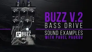 A+ by Shift Line Buzz V.2 bass drive | sound examples with Pavel Paukov