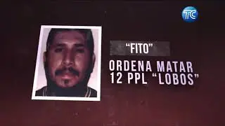 The factors that triggered a trail of bloodshed in the country's prisons