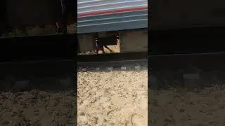 авария на переезде Котельниково 29.07.24