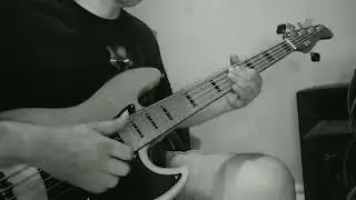 SLAP BASS GROOVE_OLD SKOOL SLAP