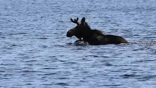 Сохондинский заповедник поздравляет всех с всемирным днем водных ресурсов