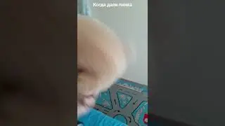 14 августа 2022 г.