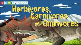 Herbivores, Carnivores and Ominvores