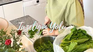 The Path to Freshness 🍃 | How to Preserve Greens Without Spoilage & A Healthy Dinner Recipe