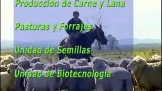 INIA Treinta y Tres