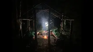 Новое убежище. Часть 2. Июль