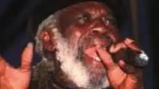 The Mighty Shadow Greatest Hits - DJ Musical Mix