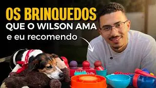 What Toys Should I Buy for My Dog?