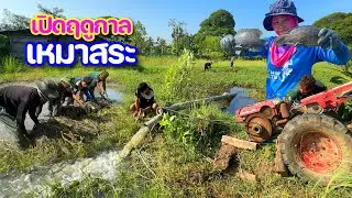 ของใหญ่มาไง!! สูบบ่อแรกของปี ไม่คิดว่าเจ้าถิ่นซุ่มใต้ผักบุ้ง l เปิดฤดูกาลเหมาสระปี67 l Ep.01
