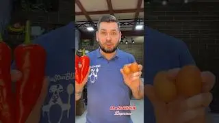 Вот что я готовлю чаще всего на ЗАВТРАК! Завтрак за 10 минут!