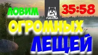 РУССКАЯ РЫБАЛКА 4 Где купить картошку/ Где ловить леща