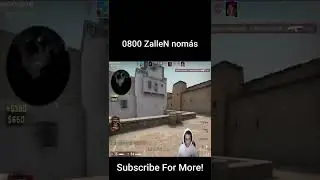 0800 ZalleN nomás
