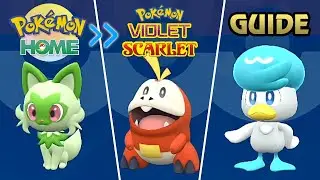 Pokémon Scarlet and Violet - How to Get Hidden Ability Sprigatito, Fuecoco and Quaxly
