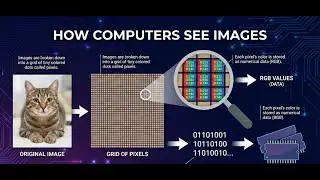 What is an Image? Computer Vision & Pixel Arrays Explained
