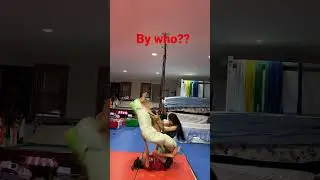 Among us in real life