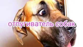 ОТПУГИВАТЕЛЬ СОБАК SL- 07