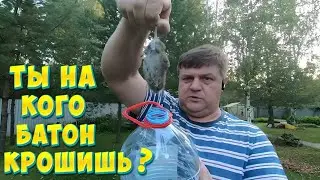 КАК ЧИСТИТЬ